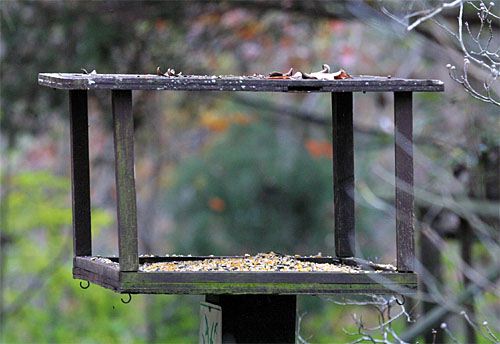 Platform Bird Feeders