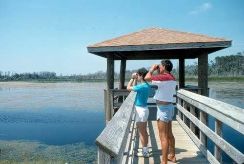 Huntington Beach State Park