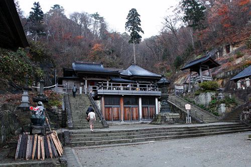 Yamagata Safflower - Expedition Japan