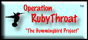 Operation RubyThroat logo