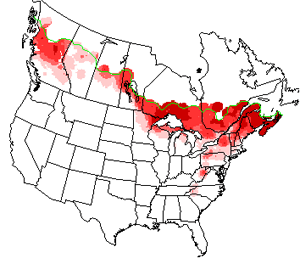 Map, Breeding Bird Survey for Magnolia Warbler, Dendroica magnolia